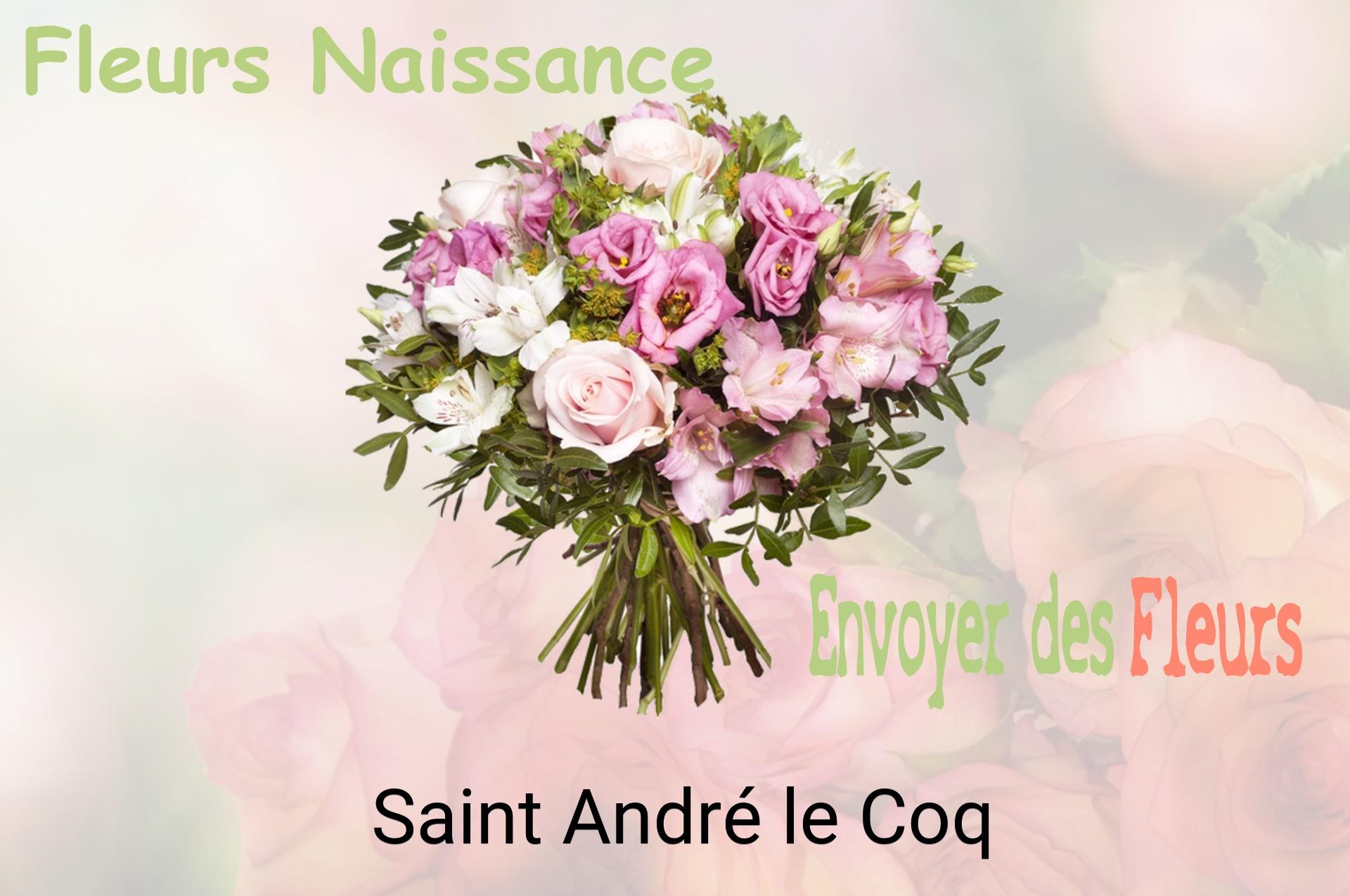 Bouquet de fleurs de naissance livré à Saint-André-le-Coq